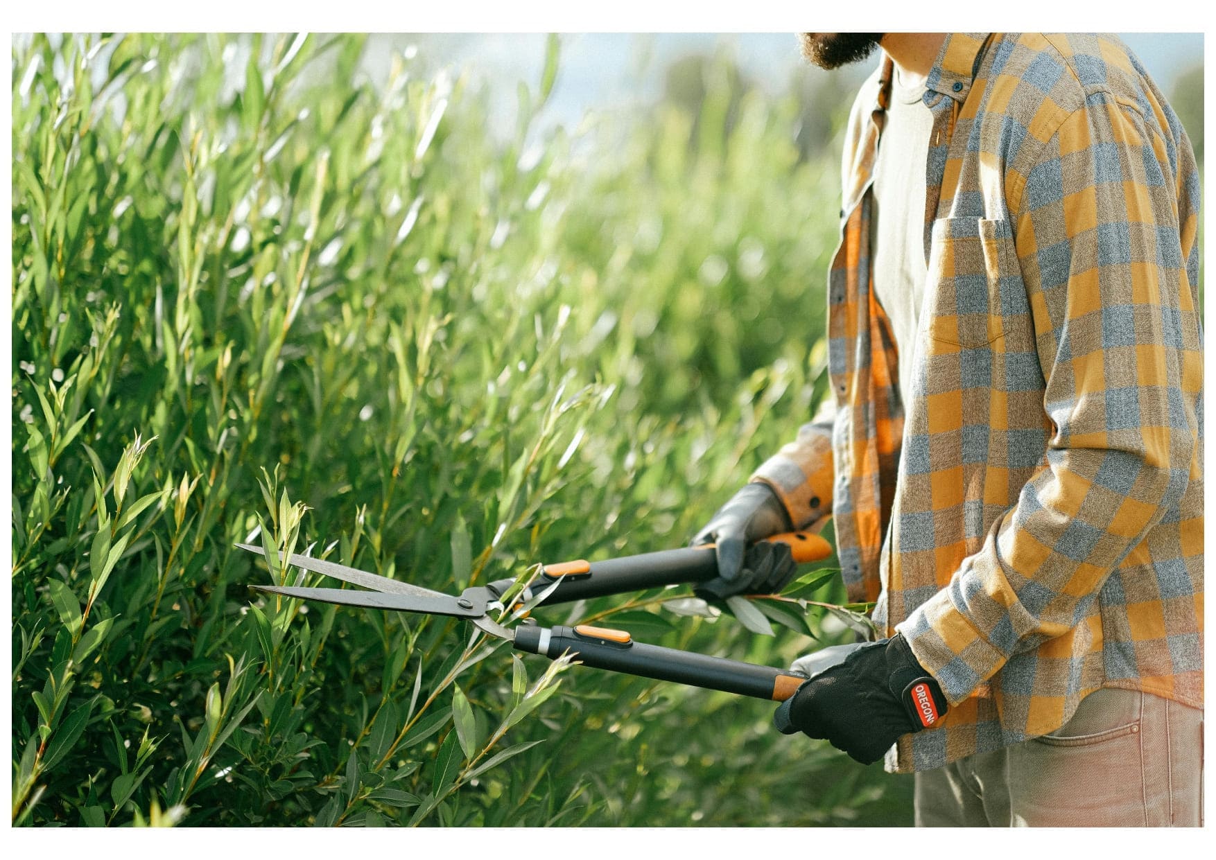 RIFIUTI DA SFALCI E POTATURE